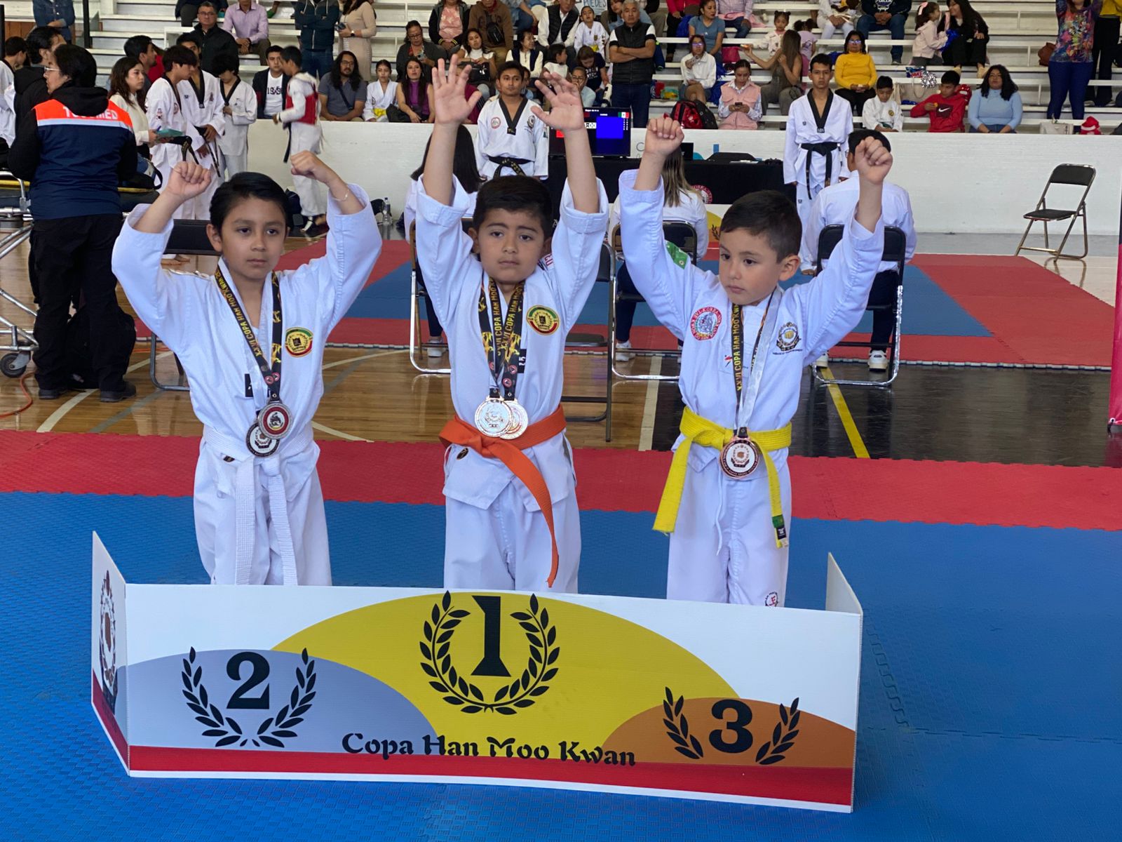 Pequeños campeones